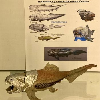 File Manager - Item Preview