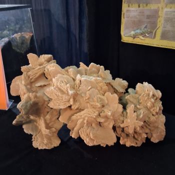 File Manager - Item Preview