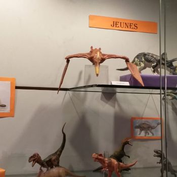 File Manager - Item Preview