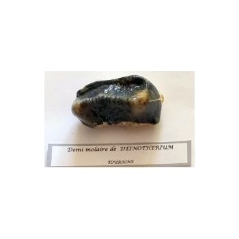 File Manager - Item Preview