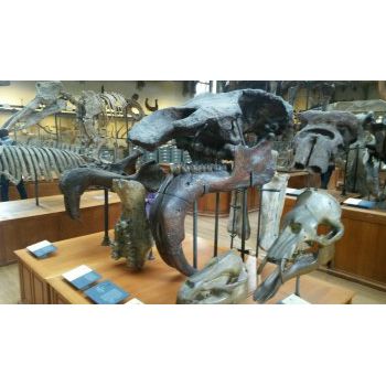 File Manager - Item Preview