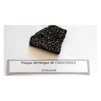 File Manager - Item Preview