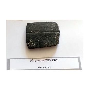 File Manager - Item Preview