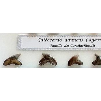 File Manager - Item Preview