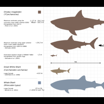 File Manager - Item Preview