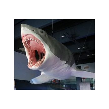 File Manager - Item Preview