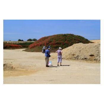 File Manager - Item Preview