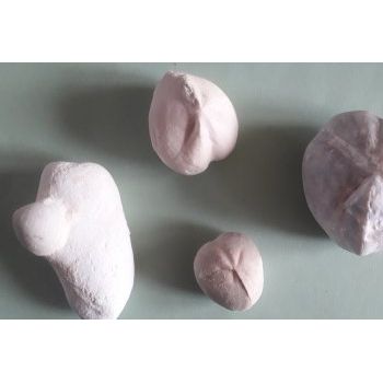 File Manager - Item Preview