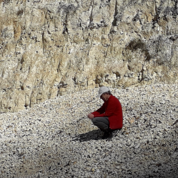 File Manager - Item Preview