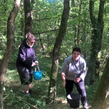 File Manager - Item Preview