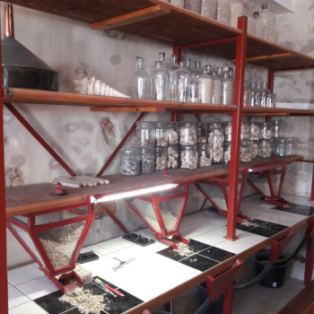 File Manager - Item Preview