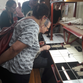 File Manager - Item Preview