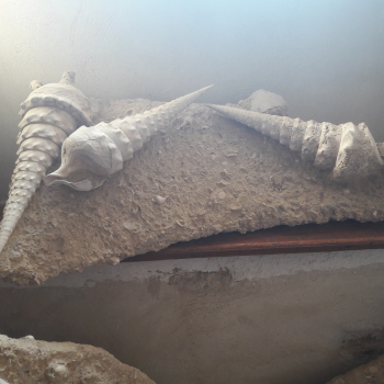 File Manager - Item Preview