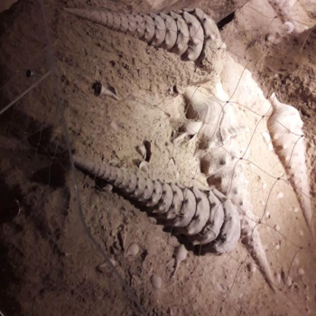 File Manager - Item Preview