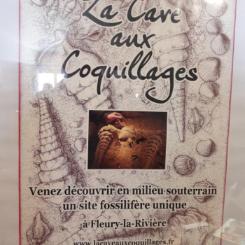 File Manager - Item Preview