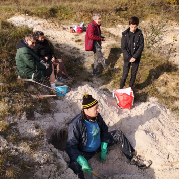 File Manager - Item Preview