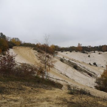 File Manager - Item Preview