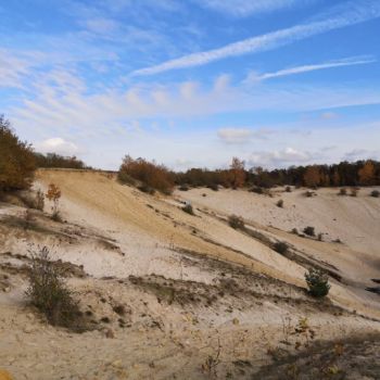 File Manager - Item Preview