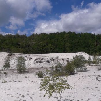 File Manager - Item Preview