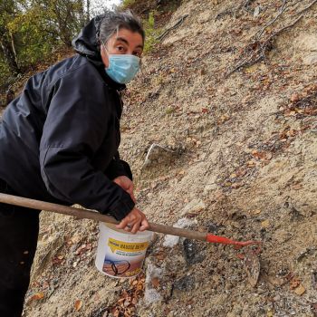 File Manager - Item Preview