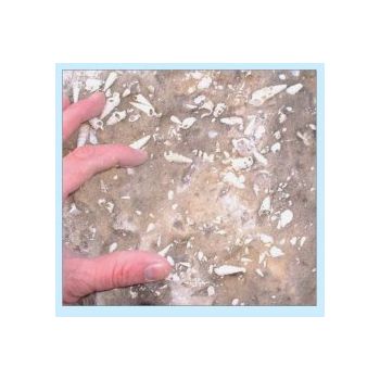 File Manager - Item Preview