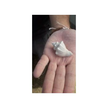 File Manager - Item Preview