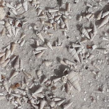 File Manager - Item Preview