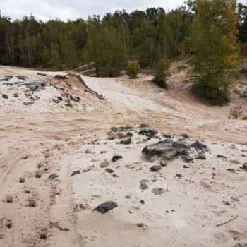 File Manager - Item Preview