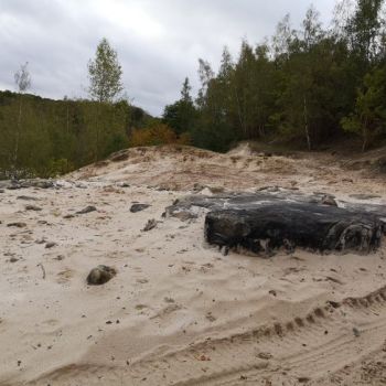 File Manager - Item Preview