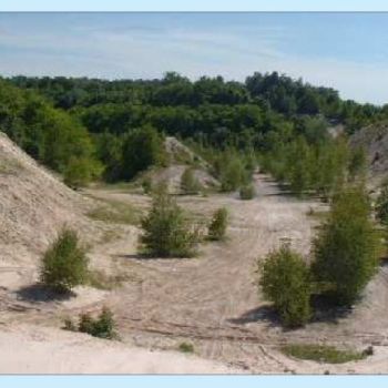 File Manager - Item Preview