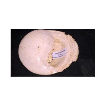 File Manager - Item Preview