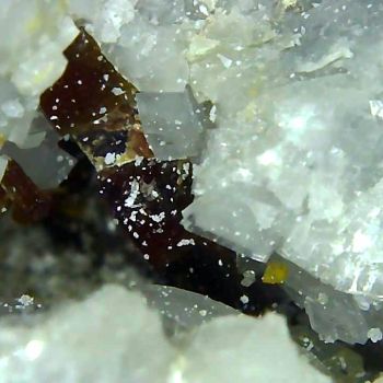 File Manager - Item Preview