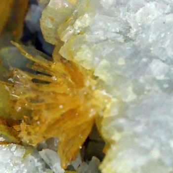 File Manager - Item Preview