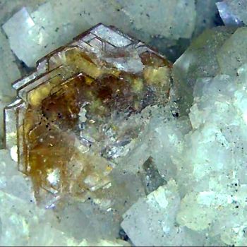 File Manager - Item Preview