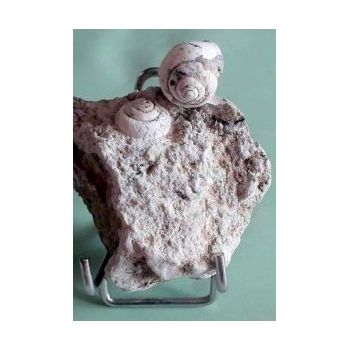 File Manager - Item Preview