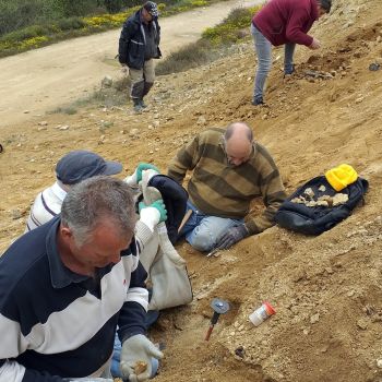 File Manager - Item Preview