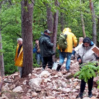 File Manager - Item Preview