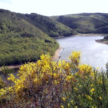 File Manager - Item Preview