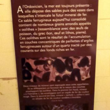 File Manager - Item Preview