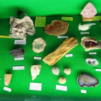 File Manager - Item Preview