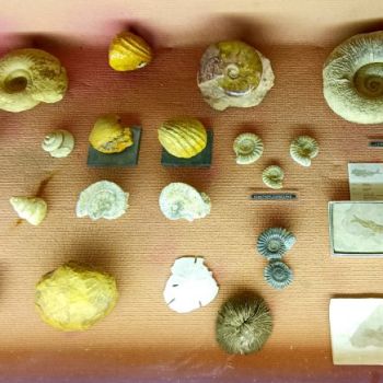 File Manager - Item Preview