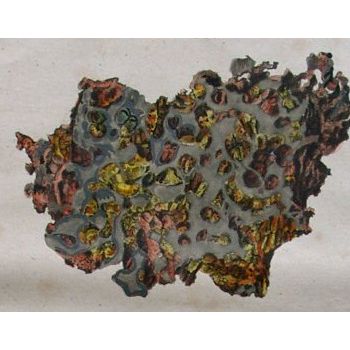 File Manager - Item Preview