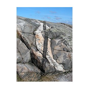 File Manager - Item Preview