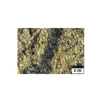 File Manager - Item Preview