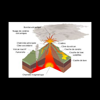 File Manager - Item Preview