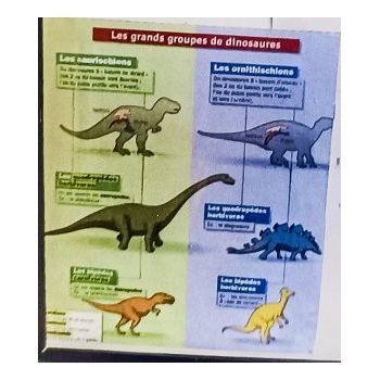 File Manager - Item Preview