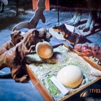 File Manager - Item Preview