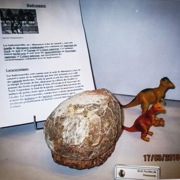 File Manager - Item Preview