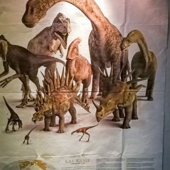 File Manager - Item Preview