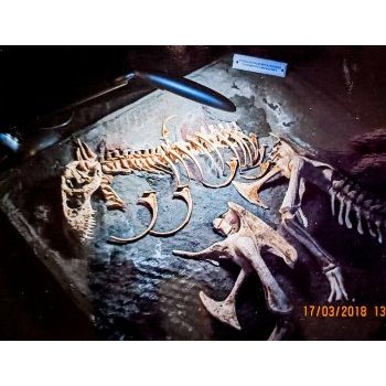 File Manager - Item Preview